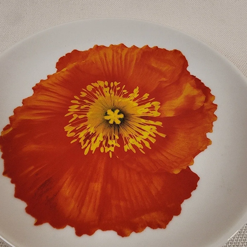 Isaac Mizrahi For Target Red Poppy Salad Plate 6
